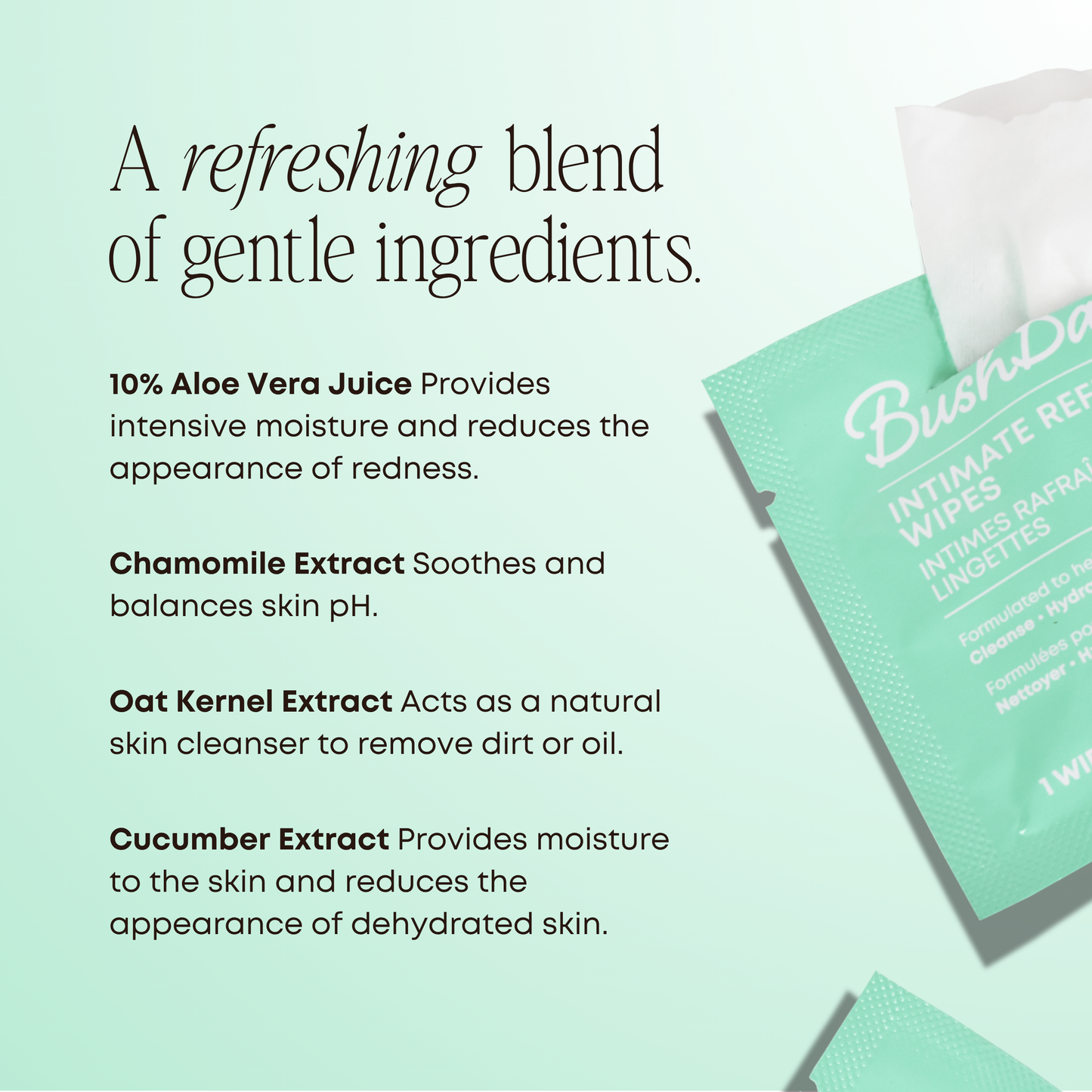 Intimate Refreshing Wipes - Backbar